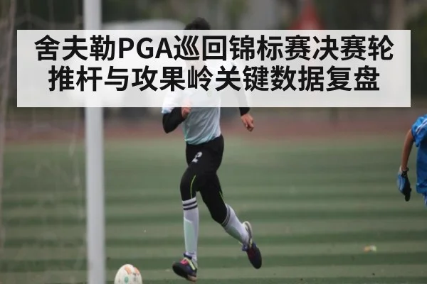 舍夫勒PGA巡回锦标赛决赛轮推杆与攻果岭关键数据复盘 | Bwin