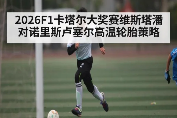 2026F1卡塔尔大奖赛维斯塔潘对诺里斯卢塞尔高温轮胎策略 | Bwin